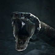 King Arthur: Legend of the Sword - galeria zdjęć - filmweb