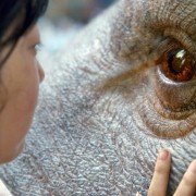 Okja - galeria zdjęć - filmweb