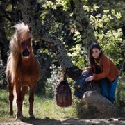 Poly - galeria zdjęć - filmweb