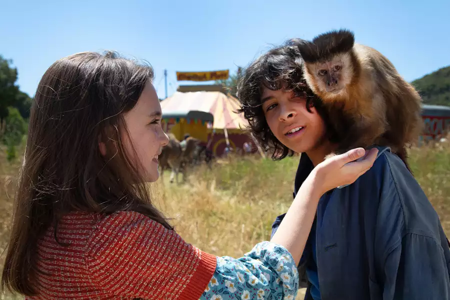 Uwolnić Poly - galeria zdjęć - filmweb