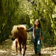 Poly - galeria zdjęć - filmweb