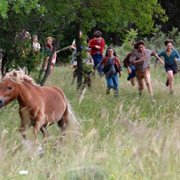 Poly - galeria zdjęć - filmweb