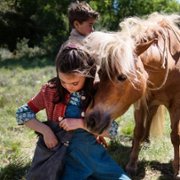 Poly - galeria zdjęć - filmweb