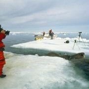 Arctic Tale - galeria zdjęć - filmweb
