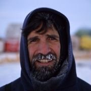 Arctic Tale - galeria zdjęć - filmweb