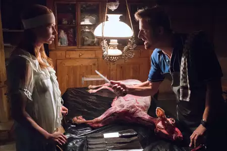 Zwierzęta - galeria zdjęć - filmweb