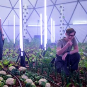 The Ark - galeria zdjęć - filmweb