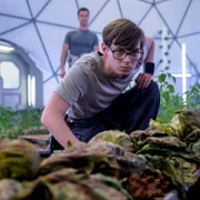 The Ark - galeria zdjęć - filmweb