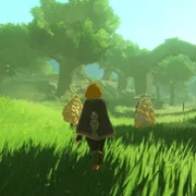Hyrule Warriors: Age of Imprisonment - galeria zdjęć - filmweb