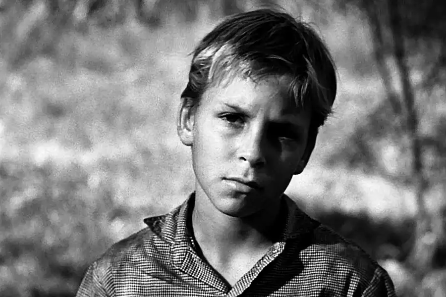 Noc myśliwego - galeria zdjęć - filmweb