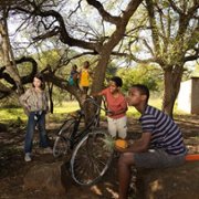 Thabo - Das Nashornabenteuer - galeria zdjęć - filmweb