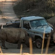 Thabo - Das Nashornabenteuer - galeria zdjęć - filmweb