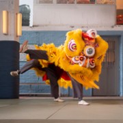 Kung Fu Leeuw - galeria zdjęć - filmweb