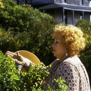 The Whales of August - galeria zdjęć - filmweb