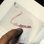 Corazón Ardiente - galeria zdjęć - filmweb