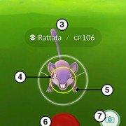 Pokémon GO - galeria zdjęć - filmweb
