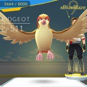 Pokémon GO - galeria zdjęć - filmweb