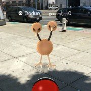 Pokémon GO - galeria zdjęć - filmweb