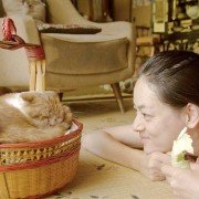 Kot do wynajęcia - galeria zdjęć - filmweb