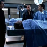 Law & Order: Special Victims Unit - galeria zdjęć - filmweb
