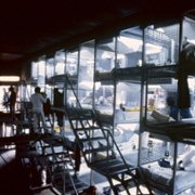 Outland - galeria zdjęć - filmweb