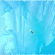 DAVE THE DIVER - galeria zdjęć - filmweb