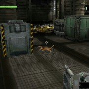 Alien Resurrection - galeria zdjęć - filmweb