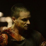 Splinter - galeria zdjęć - filmweb