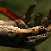 Splinter - galeria zdjęć - filmweb