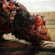 Splinter - galeria zdjęć - filmweb