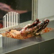 Splinter - galeria zdjęć - filmweb