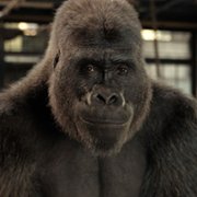 Jedyny i niepowtarzalny Ivan - galeria zdjęć - filmweb
