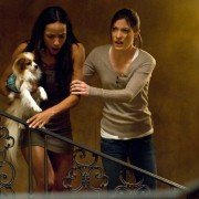Kwarantanna - galeria zdjęć - filmweb