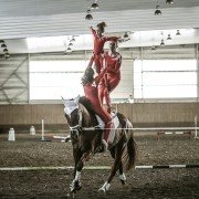Wolta - galeria zdjęć - filmweb