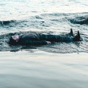Swiss Army Man - galeria zdjęć - filmweb