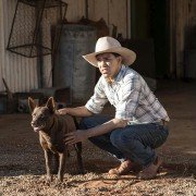 Red Dog: True Blue - galeria zdjęć - filmweb
