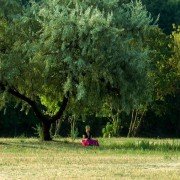 Los ríos. El viaje a México con el Maestro Kapuściński - galeria zdjęć - filmweb