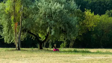 Rzeki. Podróż do Meksyku z Maestro Kapuścińskim - galeria zdjęć - filmweb