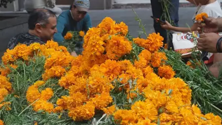 Rzeki. Podróż do Meksyku z Maestro Kapuścińskim - galeria zdjęć - filmweb