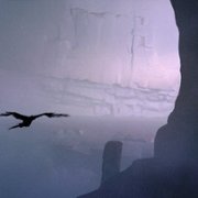 Vane - galeria zdjęć - filmweb