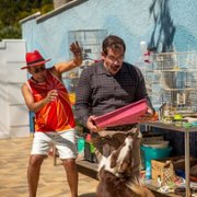 Głośni sąsiedzi - galeria zdjęć - filmweb