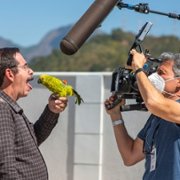 Vizinhos - galeria zdjęć - filmweb