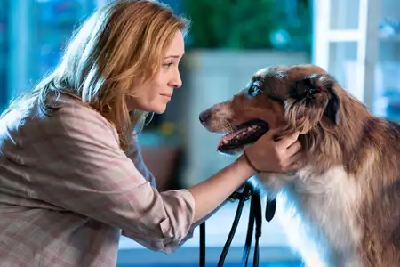 Ruby na ratunek - galeria zdjęć - filmweb
