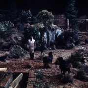 Omen - galeria zdjęć - filmweb