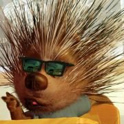 Chicken Little - galeria zdjęć - filmweb