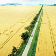 Tschick - galeria zdjęć - filmweb