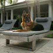 Gunther's Millions - galeria zdjęć - filmweb