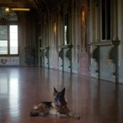 Gunther's Millions - galeria zdjęć - filmweb