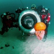 Deep Sea - galeria zdjęć - filmweb