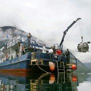 Deep Sea - galeria zdjęć - filmweb